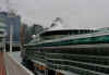 Radiance of the Seas at Canada Place